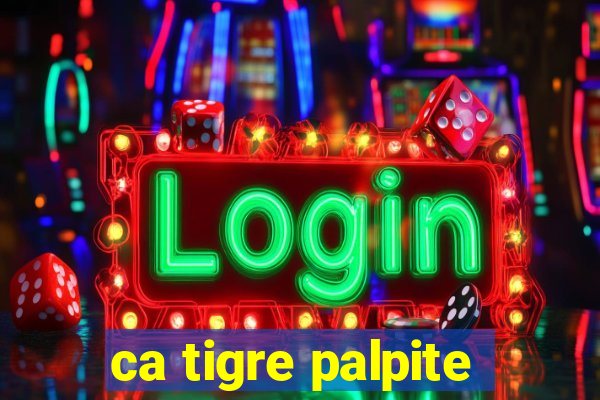 ca tigre palpite