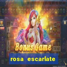 rosa escarlate ragnarok quest