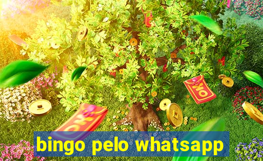 bingo pelo whatsapp