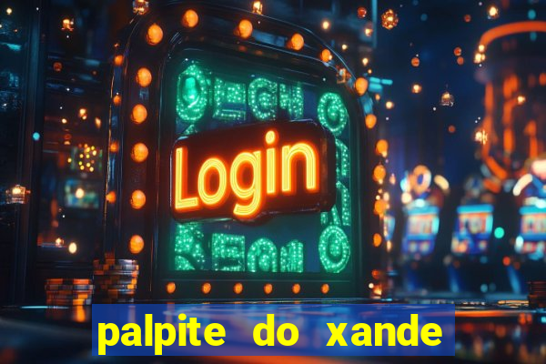 palpite do xande para hoje