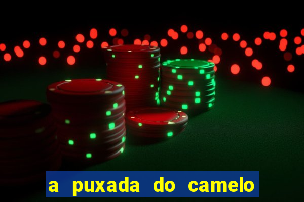 a puxada do camelo no jogo do bicho