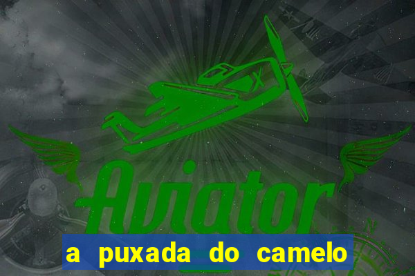 a puxada do camelo no jogo do bicho