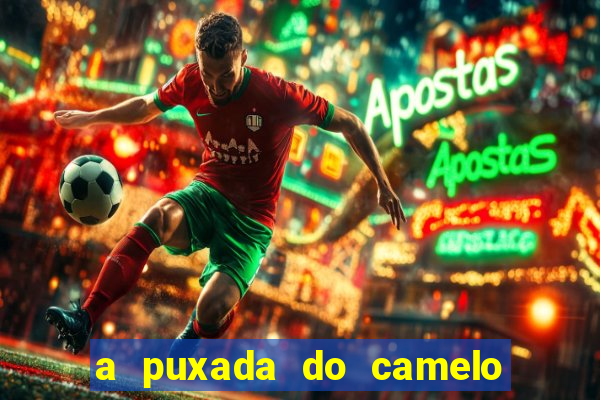 a puxada do camelo no jogo do bicho