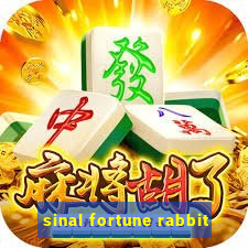 sinal fortune rabbit