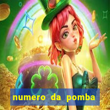 numero da pomba jogo do bicho