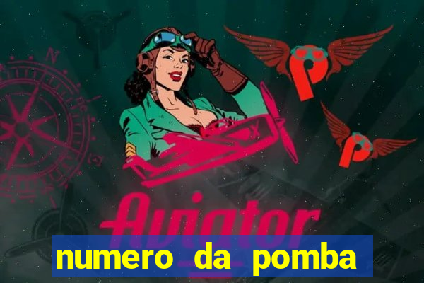 numero da pomba jogo do bicho