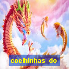 coelhinhas do brasil jp