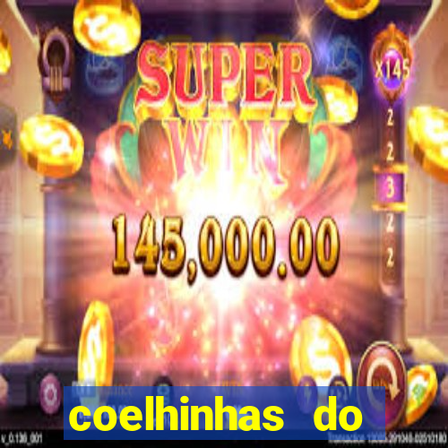 coelhinhas do brasil jp