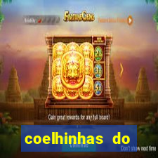 coelhinhas do brasil jp