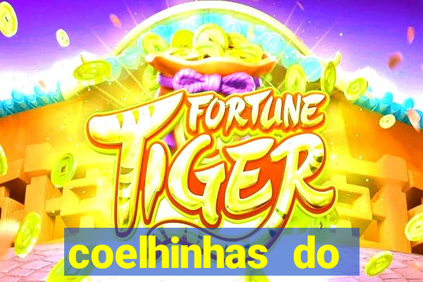 coelhinhas do brasil jp