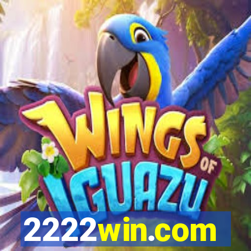 2222win.com