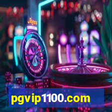 pgvip1100.com