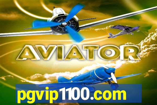 pgvip1100.com