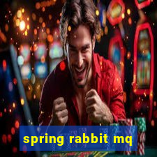 spring rabbit mq