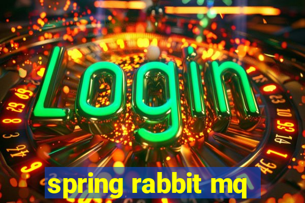 spring rabbit mq