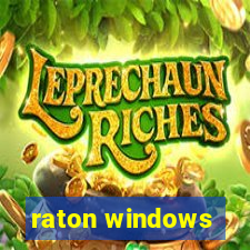 raton windows