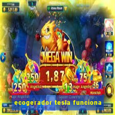 ecogerador tesla funciona