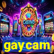 gaycam