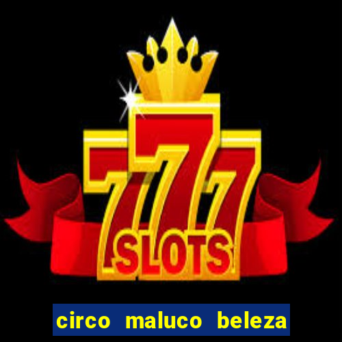 circo maluco beleza recife circo maluco