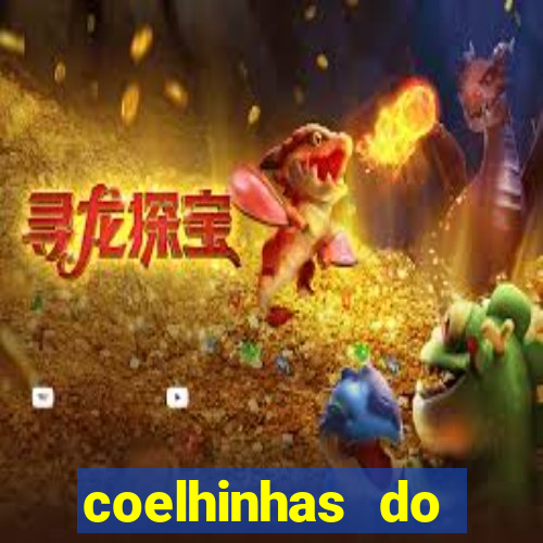 coelhinhas do brasil recife