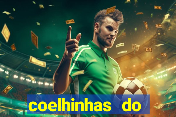 coelhinhas do brasil recife