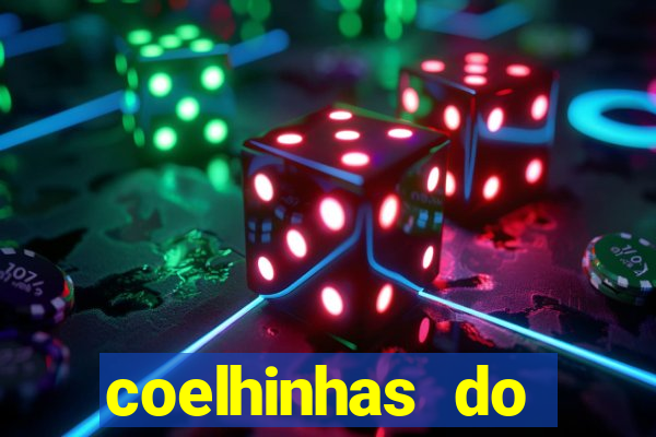 coelhinhas do brasil recife