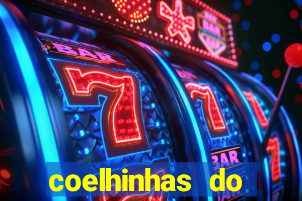 coelhinhas do brasil recife