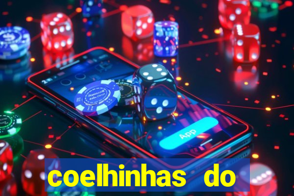 coelhinhas do brasil recife