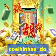 coelhinhas do brasil recife