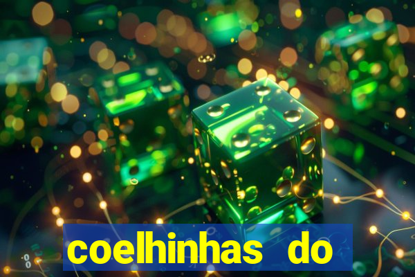 coelhinhas do brasil recife