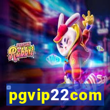 pgvip22com