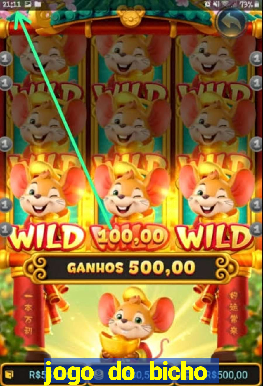 jogo do bicho crash bingo