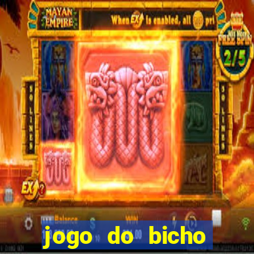 jogo do bicho crash bingo