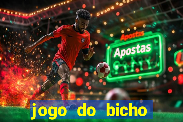 jogo do bicho crash bingo