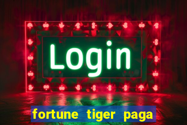 fortune tiger paga de madrugada