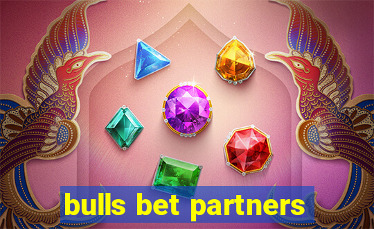 bulls bet partners