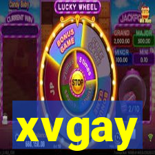 xvgay