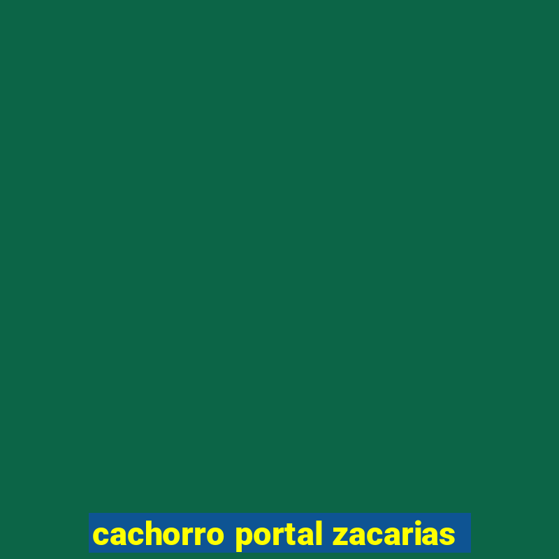 cachorro portal zacarias