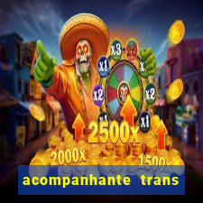 acompanhante trans em santos