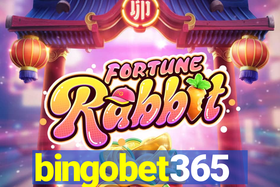 bingobet365