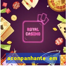 aconpanhante em porto alegre