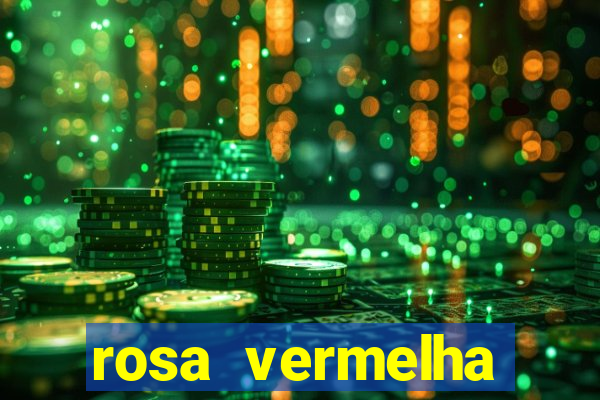 rosa vermelha (letra e cifra)