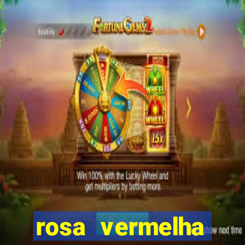 rosa vermelha (letra e cifra)