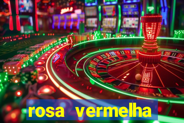 rosa vermelha (letra e cifra)