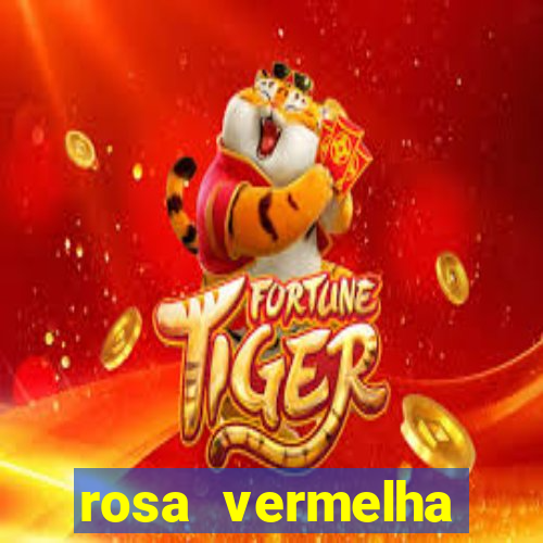 rosa vermelha (letra e cifra)