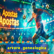 arvore genealogica dos gracie