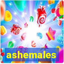 ashemales