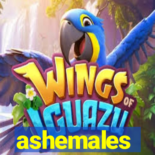 ashemales