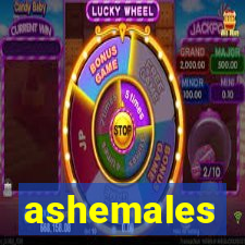 ashemales