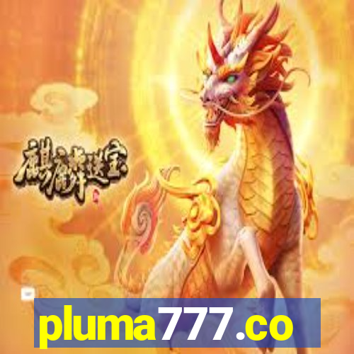 pluma777.co